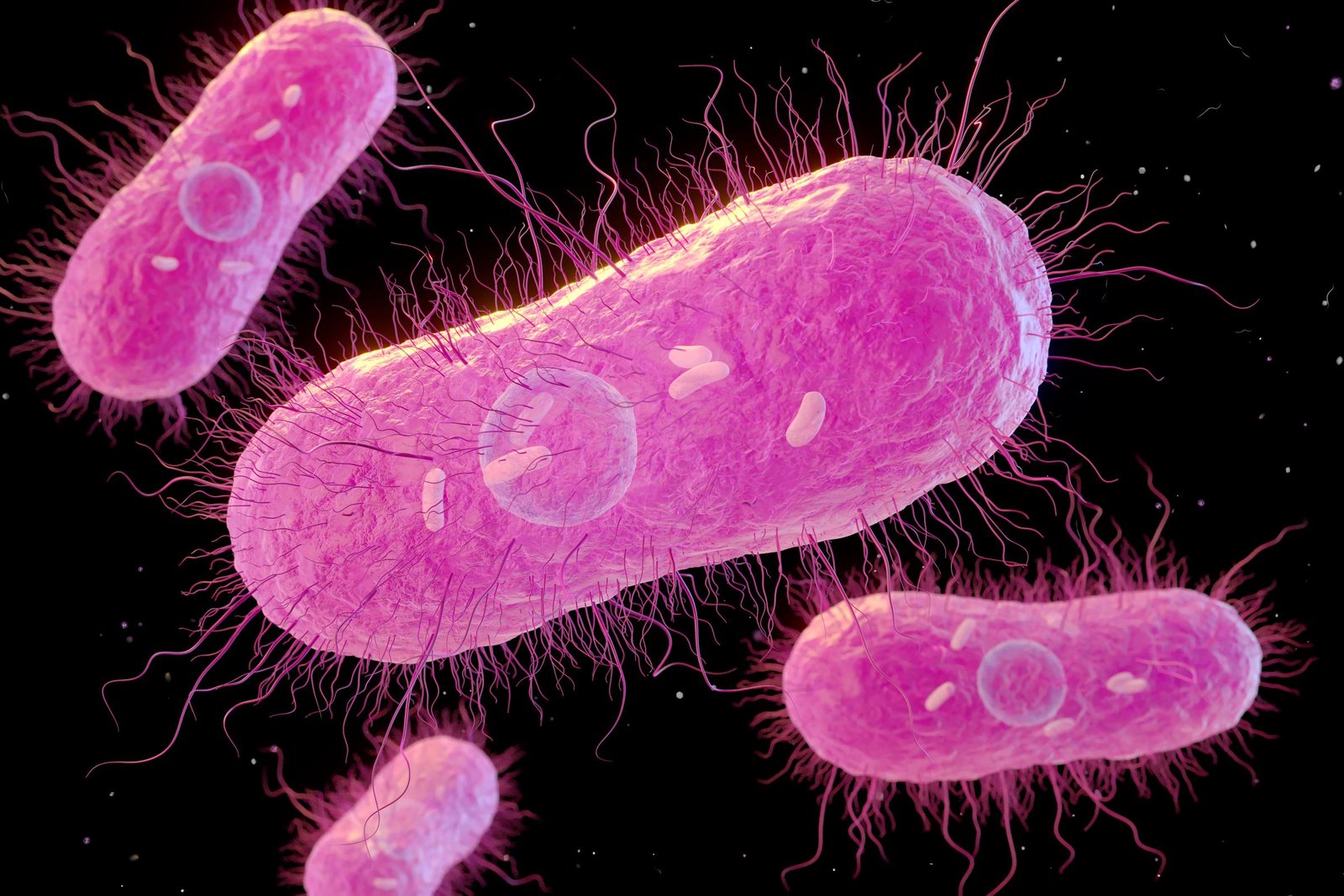 The Centers for Disease Control and Prevention estimates that roughly 450 people in the United States die each year from acute salmonellosis.