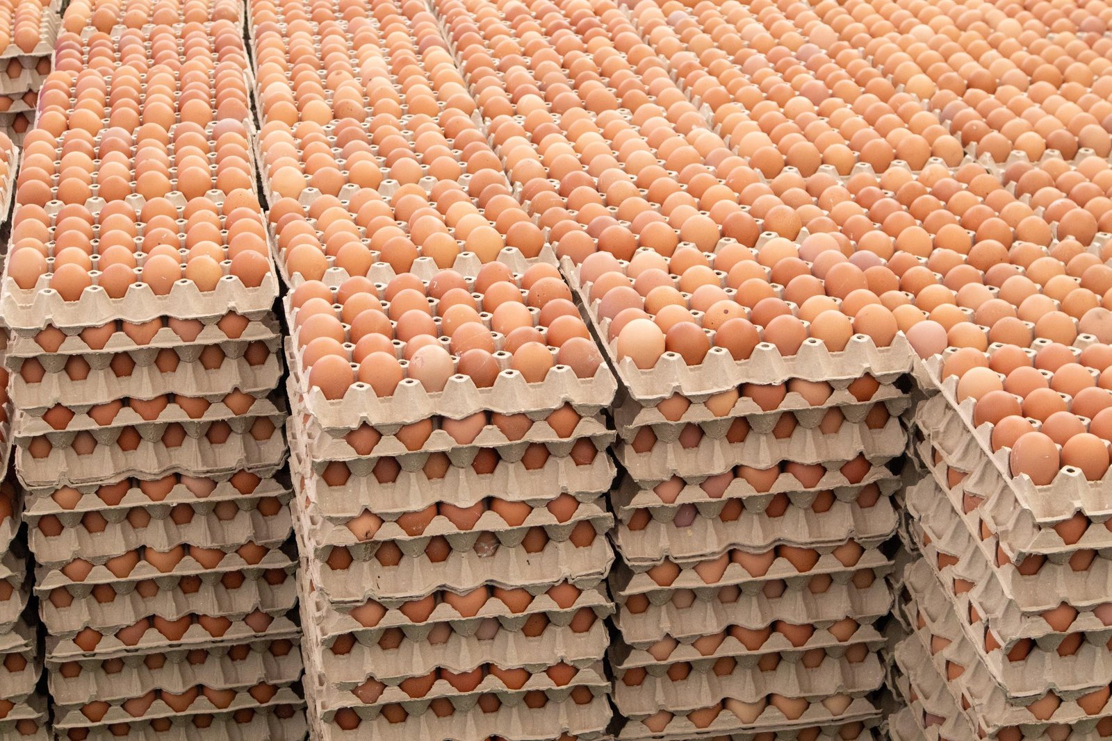 Millions of household staples are being pulled immediately after an alarming discovery made during routine safety checks. The disturbing details behind this major emergency are finally coming to light.