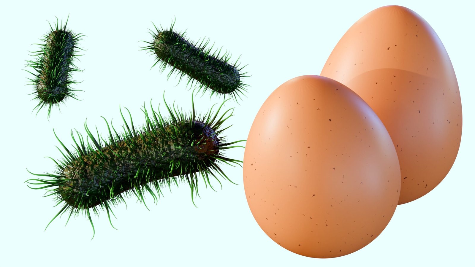 Beneath the surface of a simple shell: A visual breakdown of Salmonella bacteria lurking beside fresh eggs, illustrating how foodborne contamination starts at the source to trigger salmonellosis.